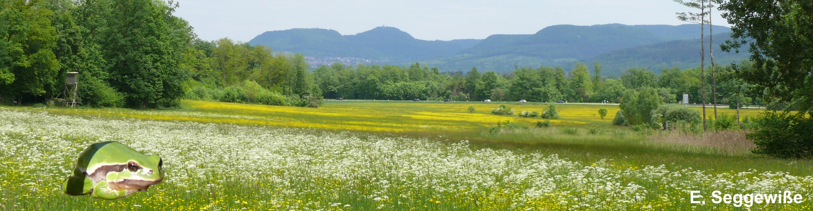 NSG Altwiesen in Bodelshausen