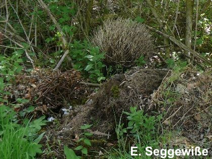 Gartenabf&auml;lle